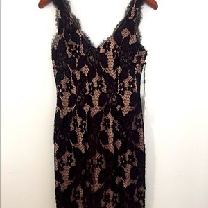 Sleeveless Lace cocktail Dress